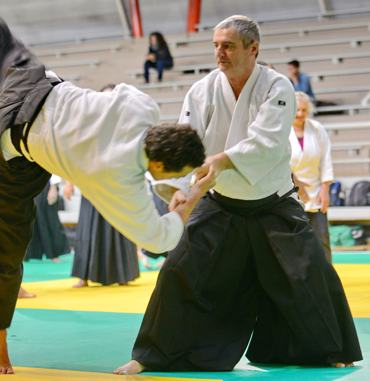 Aikido Toulouse 2014 Alain Peyrache -02.JPG