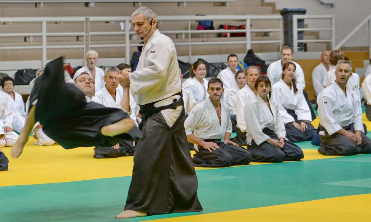 Aikido Toulouse 2014 Alain Peyrache -05.JPG
