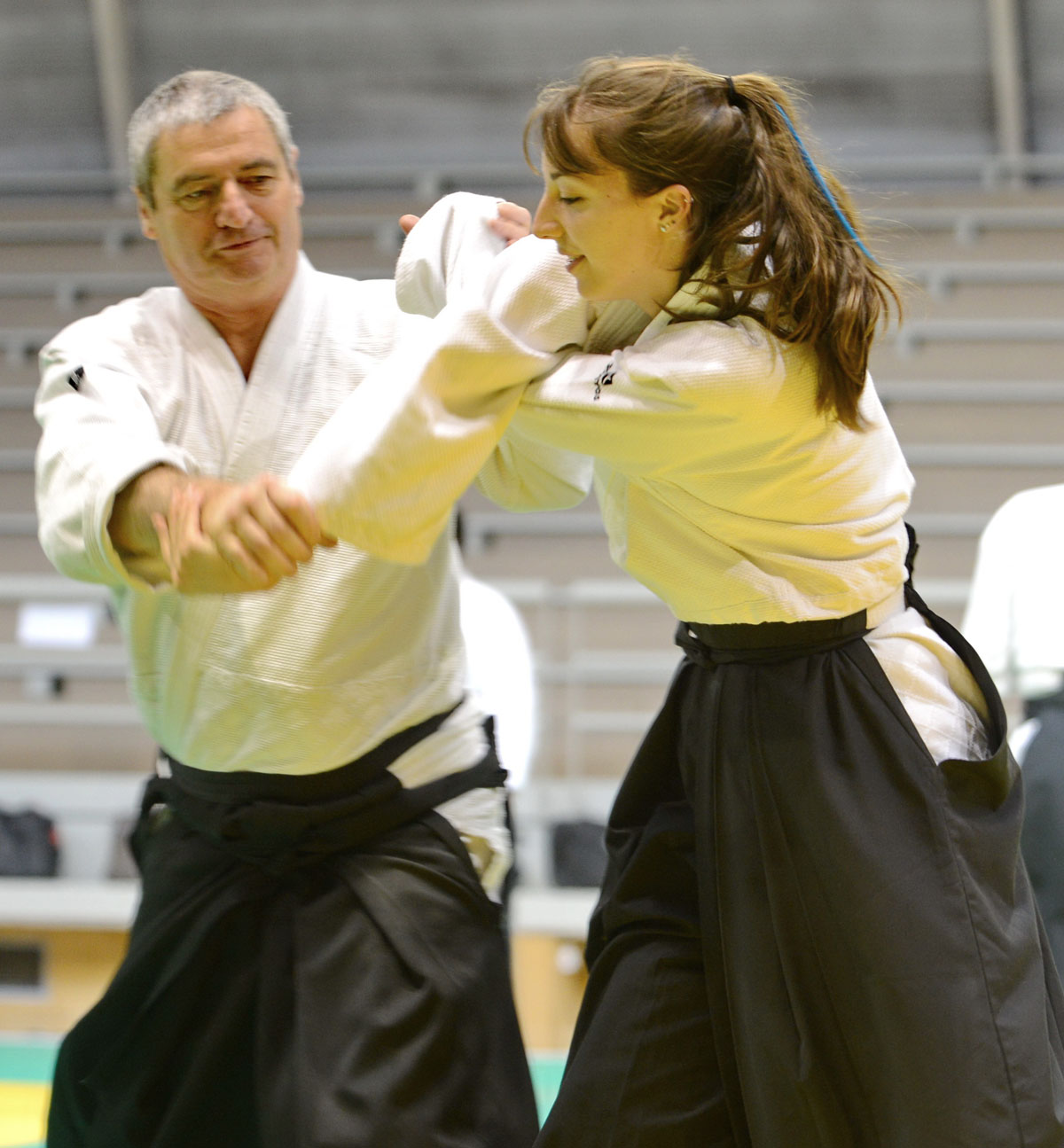 Aikido Toulouse 2014 Alain Peyrache -06.jpg