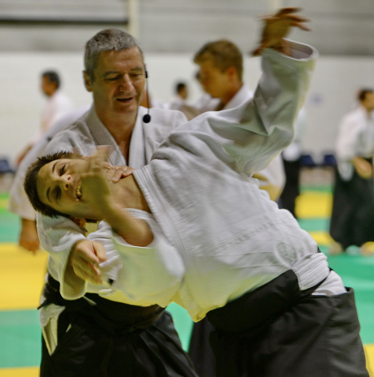 Aikido Toulouse 2014 Alain Peyrache -11.JPG