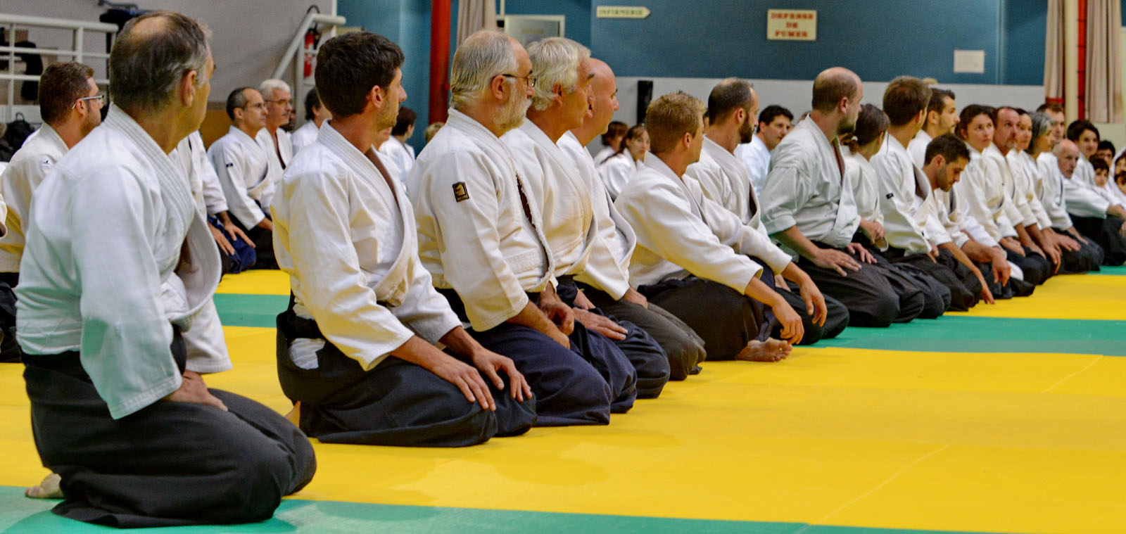 Aikido Toulouse 2014 Alain Peyrache - Gerard-Claude -2.JPG